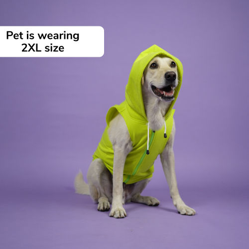 Skatrs Galaxy Breezy Hoodies with Pockets for Dogs and Cats (Green)