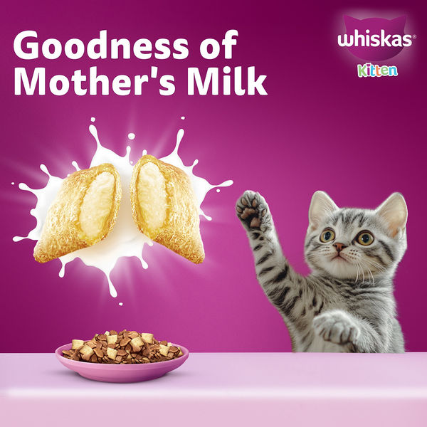 Whiskas Mackerel Flavour Kitten (2 to 12 months)Cat Dry Food