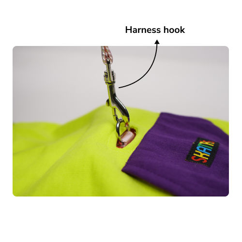 Skatrs Galaxy Breezy Hoodies with Pockets for Dogs and Cats (Green)