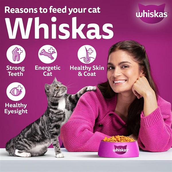 Whiskas Chicken Flavour Cat (Adult 1+) Dry Food