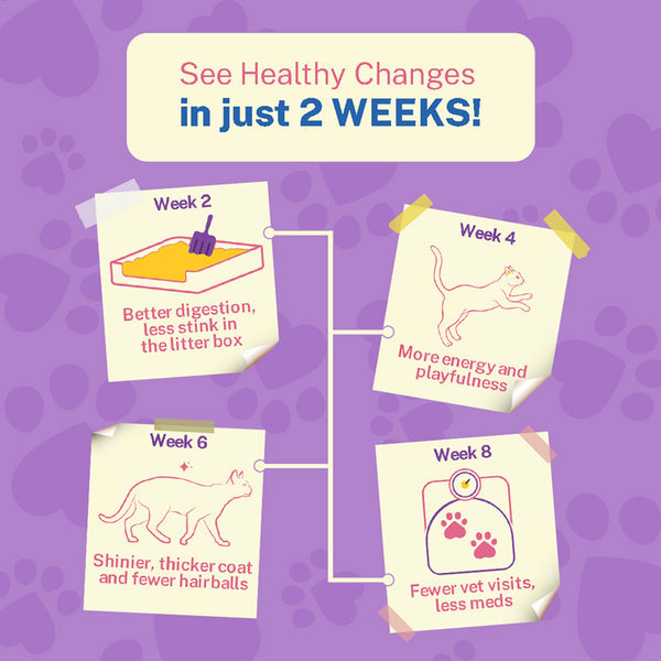 Smylo Kitten Chicken & Liver, Pomegranate, Fresh & No-Preservative Wet Cat Food