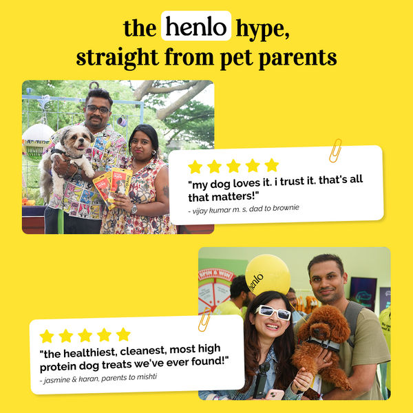 Henlo Chicken Pops Dog Treats I Guilt Free I High Protein