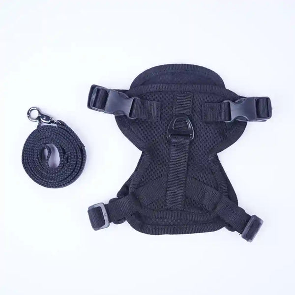 Skatrs Harness with Leash for Cats (Black)