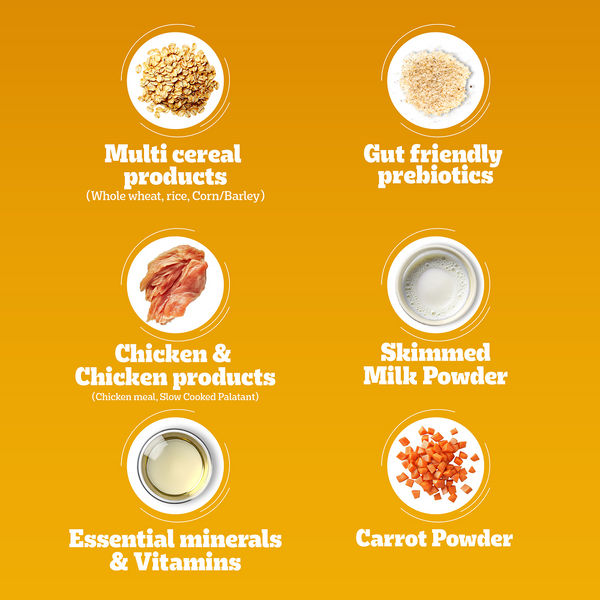 Pedigree Chicken and Milk Puppy Dog Dry Food
