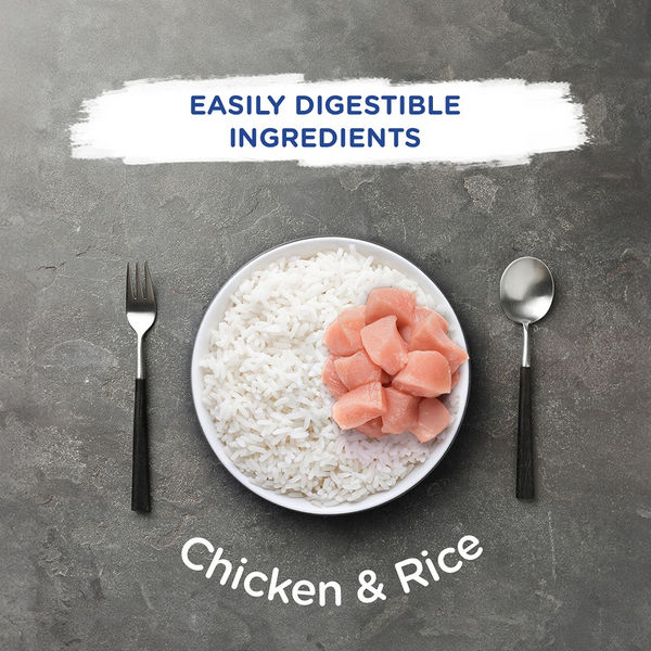 Chappi Chicken & Rice Adult Dog Dry Food