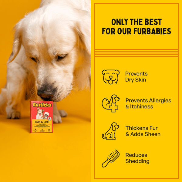 Furlicks Skin & Coat Supplement for Cats and Dogs