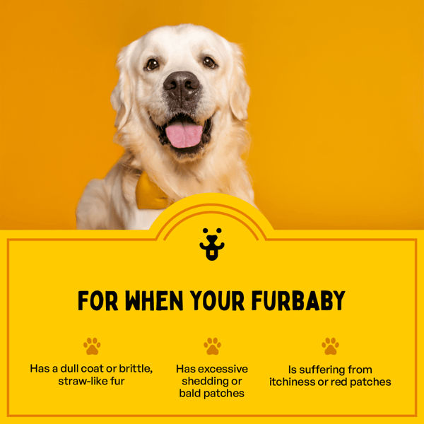 Furlicks Skin & Coat Supplement for Cats and Dogs
