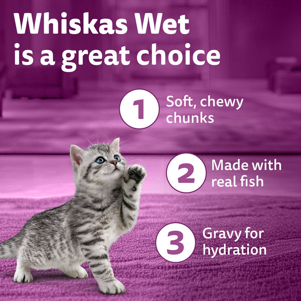 Whiskas Tuna in Jelly Kitten Cat Wet Food (80g)