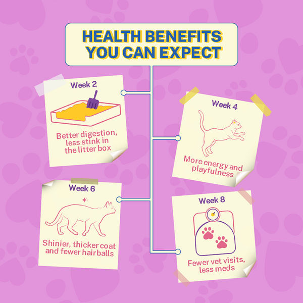 Smylo Adult Chicken & Liver, Pomegranate, Fresh & No-Preservative Wet Cat Food