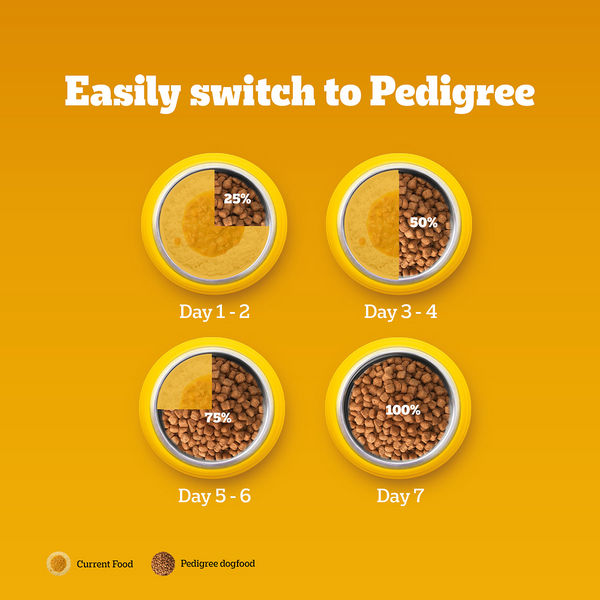 Pedigree Chicken and Vegetables Adult Dog Dry Food