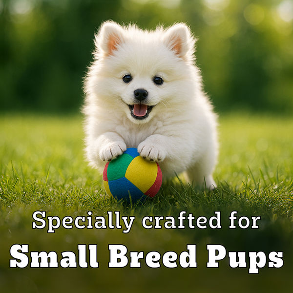 Pedigree PRO Expert Nutrition Small Breed Puppy (2 to 9 Months) Dry Food