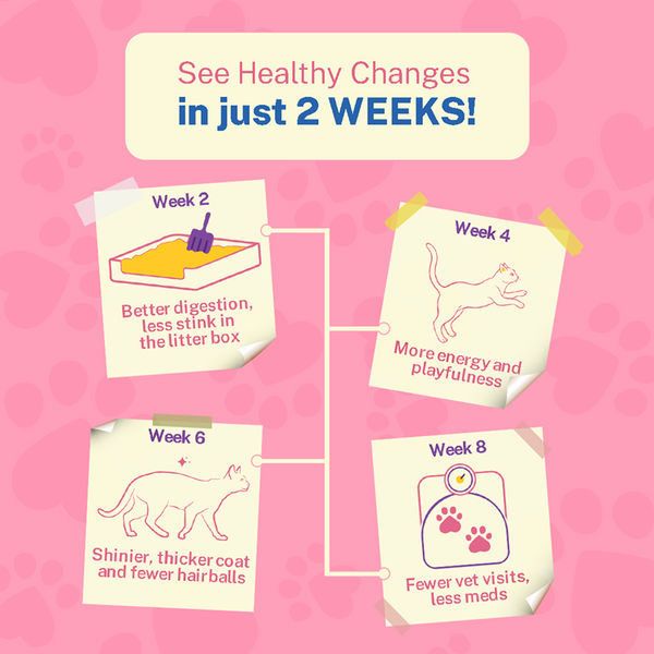 Smylo Adult Mackerel Kanikama & Cranberry, Fresh & No-Preservative Wet Cat Food