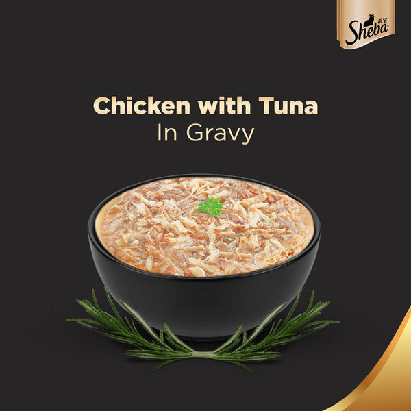 Sheba Tuna Pumpkin & Carrot In Gravy and Chicken With Tuna In Gravy Rich Premium Adult  Fine Cat Wet Food Combo