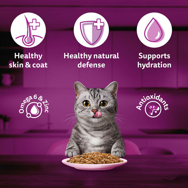 Whiskas Salmon in Gravy Meal Adult Cat Wet Food
