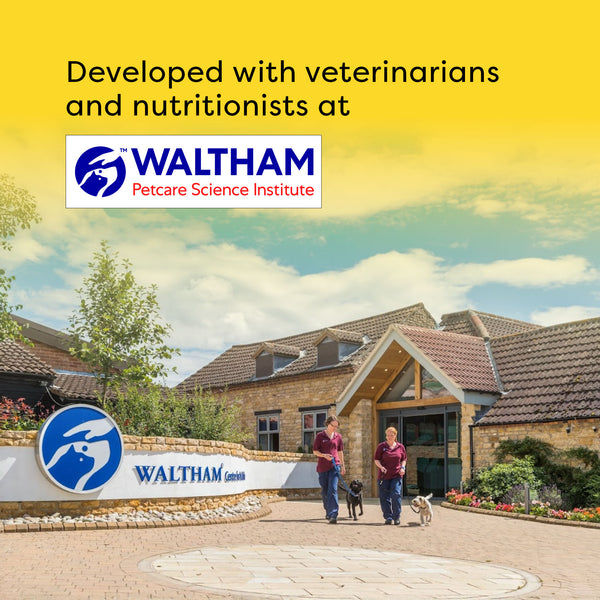 Temptations Tasty Chicken Flavour Cat Treats