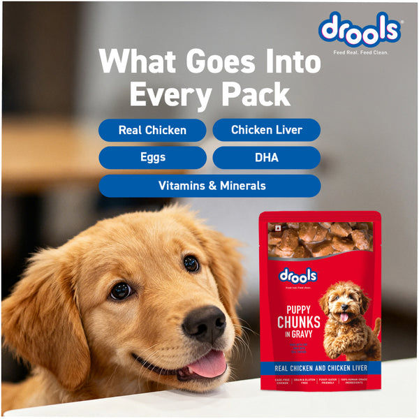 Drools Real Chicken & Chicken Liver Chunks in Gravy Puppy Dog Wet Food