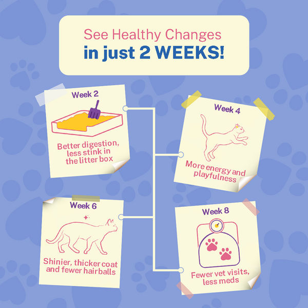 Smylo Adult Chicken Tuna & Rosemary, Fresh & No-Preservative Wet Cat Food