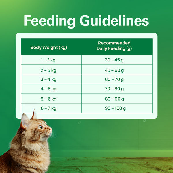 Avant Furst Tuna Fish Flavour Adult Cat Dry Food