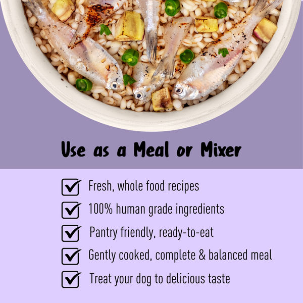 Homiee & Ginger Grain Free Mini Meals Surf & Turf, Fish Feista, Chicken & Barley Food for Dogs Combo
