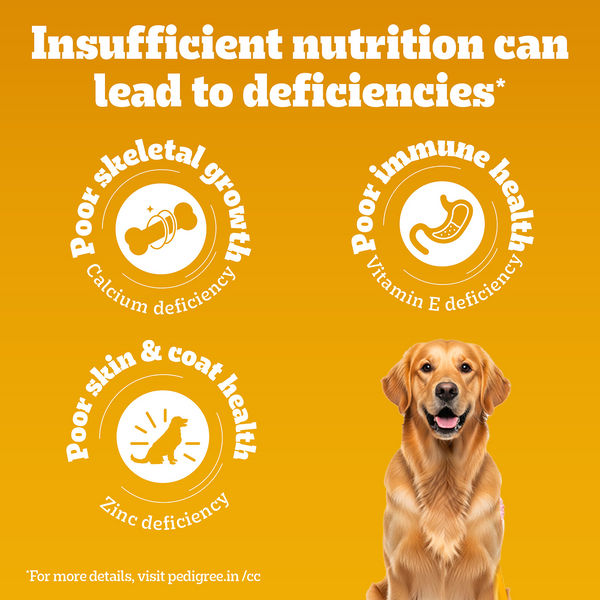 Pedigree Chicken, Egg and Rice Adult Dog Dry Food