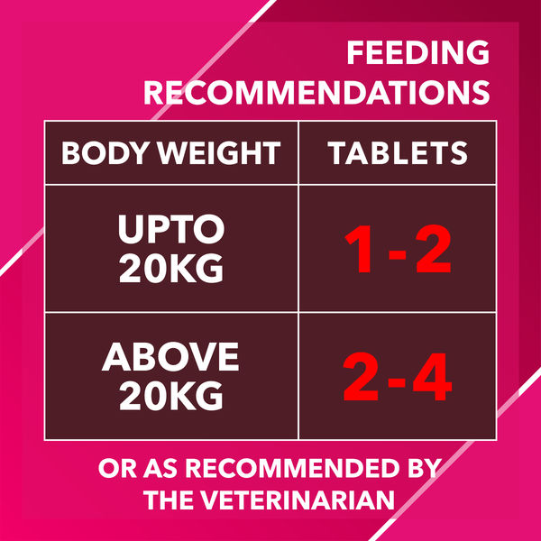 Drools Absolute Skin & Coat Supplement Tablets for Dogs