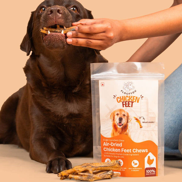 FloofYou Air Dried Chicken Feet Grain Free Chew Dog Treats