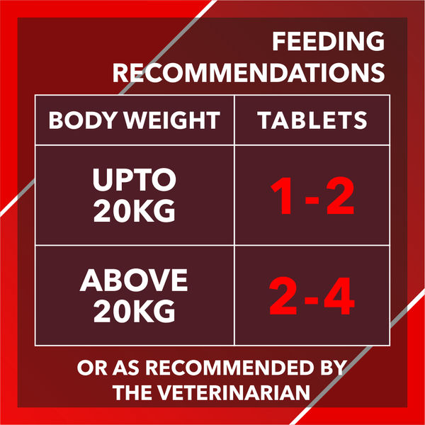 Drools Absolute Calcium Dog Supplement Tablets