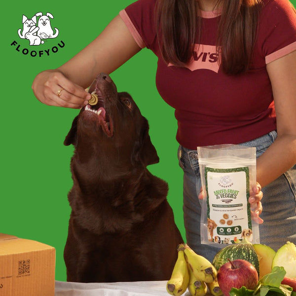 FloofYou Oven Baked Mixed Fruit and Veggies Dog Treats