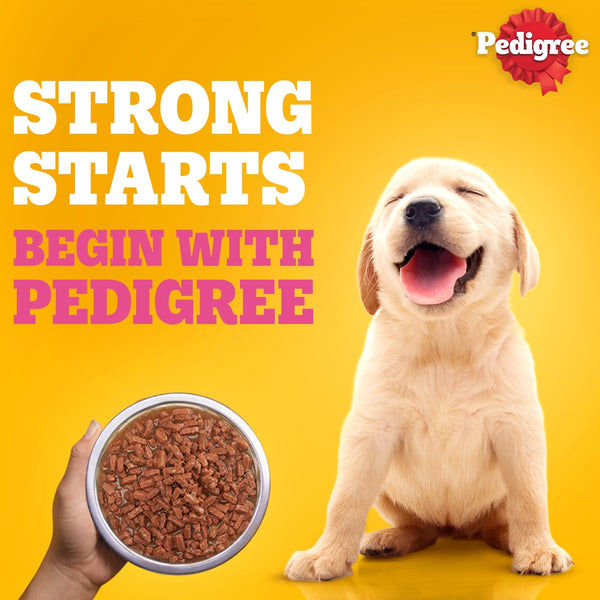 Pedigree Chicken and Liver Chunks in Gravy Pouch Puppy Dog Wet Food (130g)