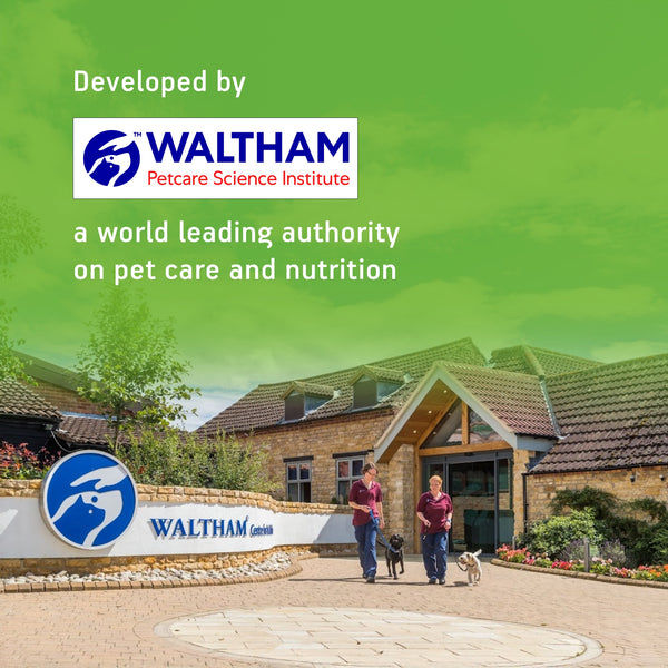 Kitekat Ocean Fish Adult Cat Dry Food