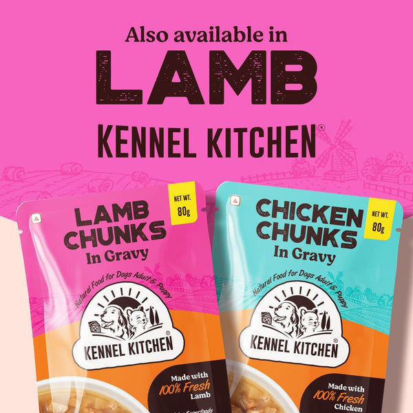 Kennel Kitchen Chicken Chunks in Gravy Adult and Puppy Wet Dog Food