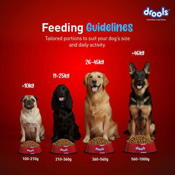 Drools Fish and Rice Adult Dog Dry Food