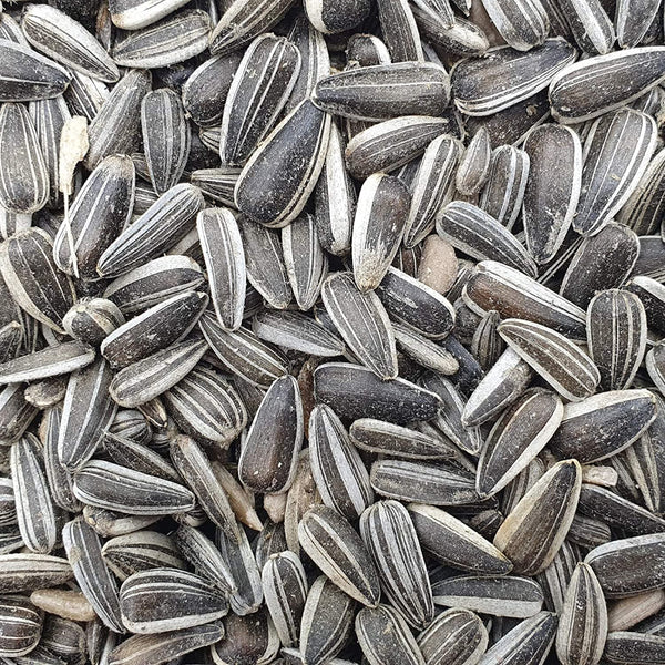 Versele Laga Sunflower Seeds Striped and Prestige Food for Big Parakeets and Birds