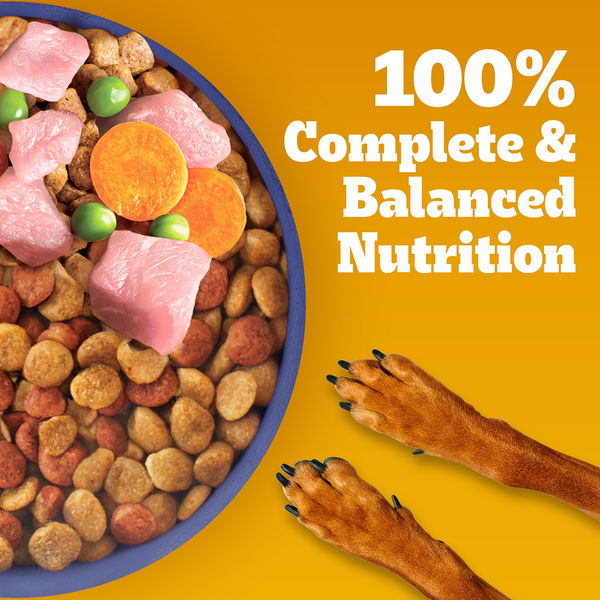 Pedigree Chicken and Milk Puppy Dog Dry Food