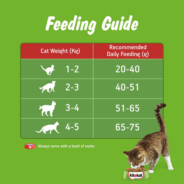 Kitekat Ocean Fish Adult Cat Dry Food
