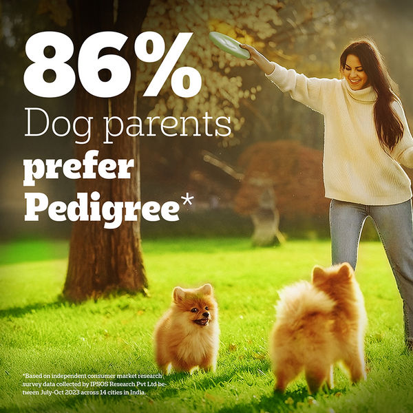 Pedigree PRO Expert Nutrition for Large Breed Puppy(3 to 18 Months) Dry Food