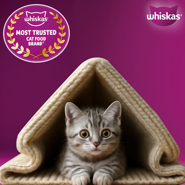 Whiskas Ocean Fish Kitten Cat Dry Food