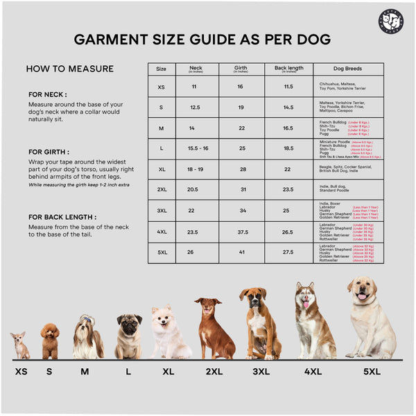 Pets Way Mistiq Yellow Monsoon Fun Raincoat for Dogs