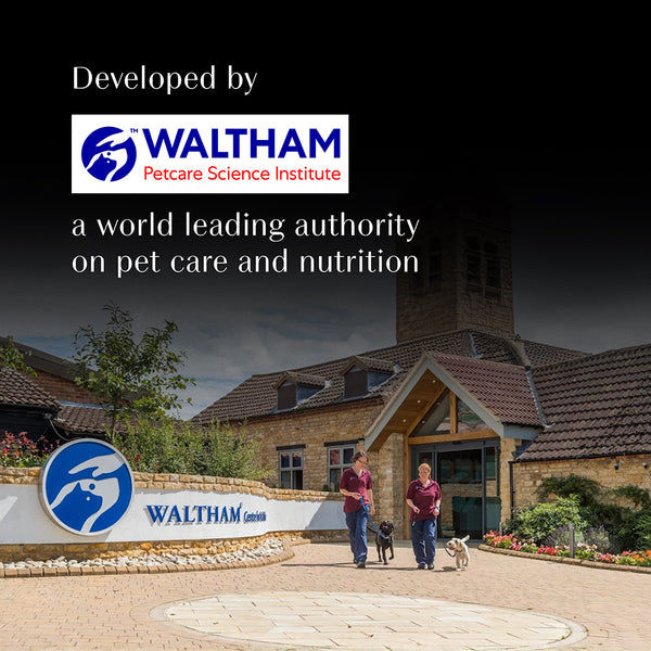 Sheba Tuna Pumpkin & Carrot In Gravy Rich Premium Adult Fine Cat Wet Food