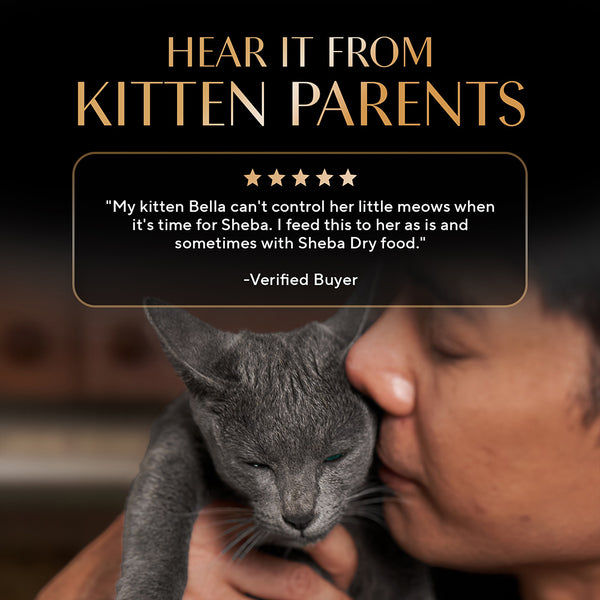 Sheba Chicken Loaf Rich Premium Kitten (2 to 12 Months) Fine Cat Wet Food