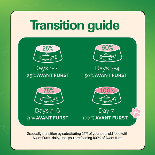 Avant Furst Tuna Fish Flavour Adult Cat Dry Food