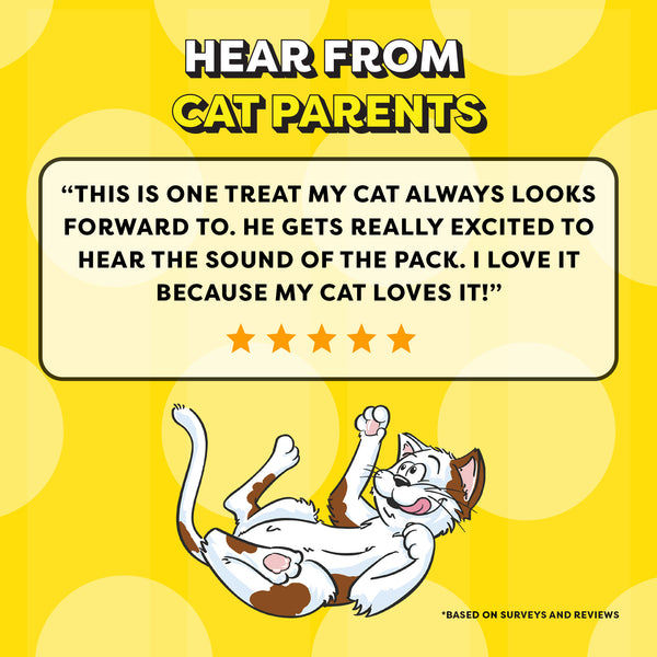 Temptations Seafood Medley Flavour Cat Treats