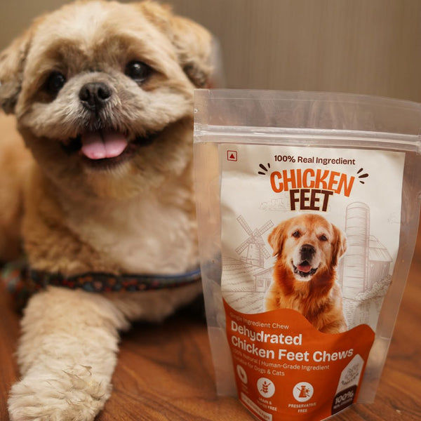 FloofYou Air Dried Chicken Feet Grain Free Chew Dog Treats