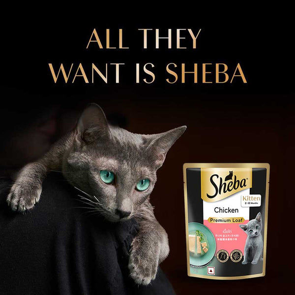 Sheba Chicken Loaf Rich Premium Kitten (2 to 12 Months) Fine Cat Wet Food