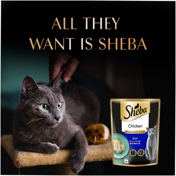 Sheba Chicken Loaf Rich Premium Adult Fine Cat Wet Food