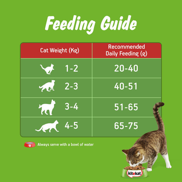 Kitekat Ocean Fish Adult Cat Dry Food