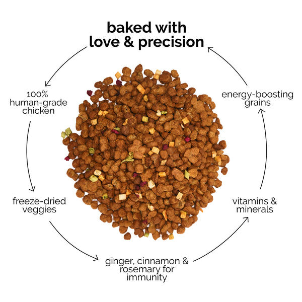 Henlo Chicken & Vegetable Baked Dry Food for Adult Dogs | 100% human grade ingredients