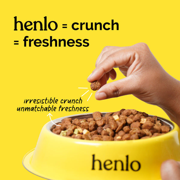 Henlo Chicken & Vegetable Baked Dry Food for Adult Dogs | 100% human grade ingredients