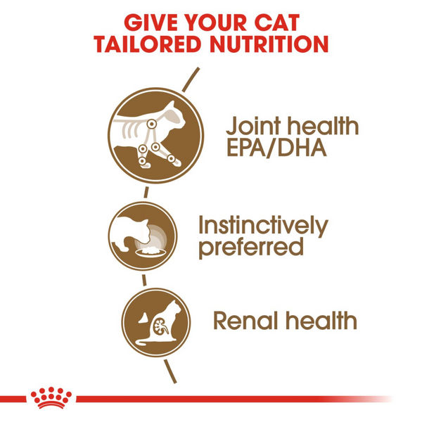Royal Canin Ageing +12 Adult Cat Wet Food