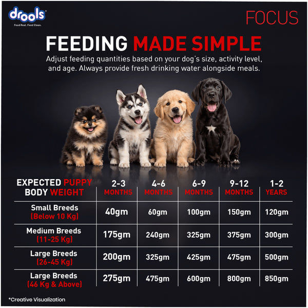 Drools Focus Super Premium Puppy Dog Dry Food | Corn & Wheat Free Formula